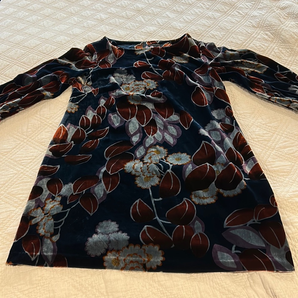 Women’s size 14 Ann Taylor Velvet Dress